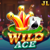 Wild Ace colorgame2 slot